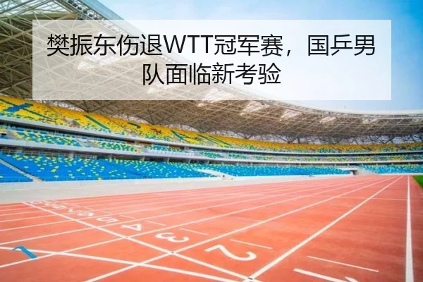 樊振东伤退WTT冠军赛，国乒男队面临新考验