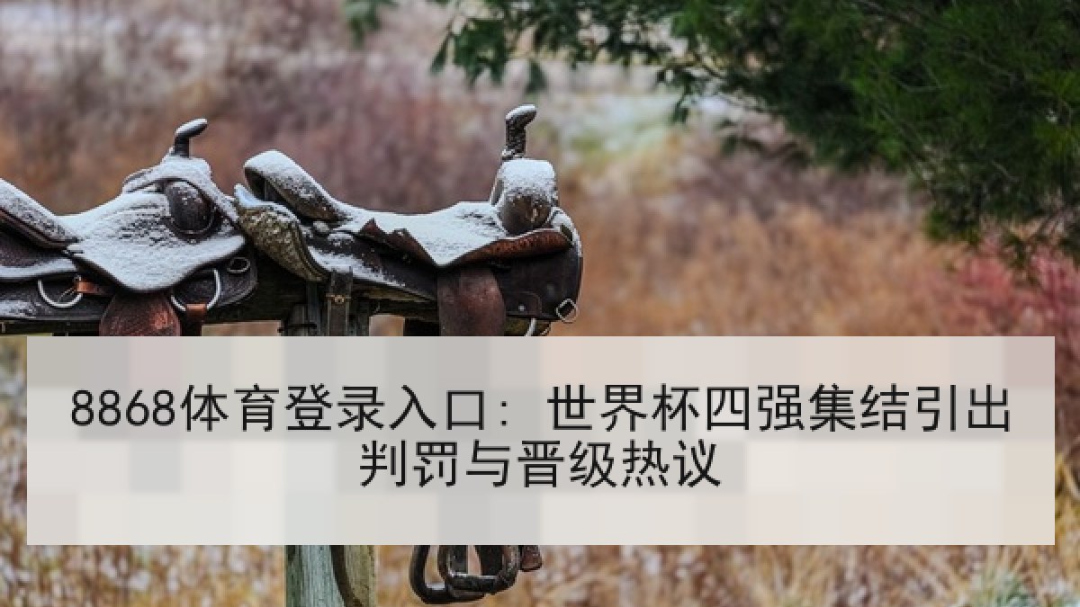 8868体育登录入口: 世界杯四强集结引出判罚与晋级热议