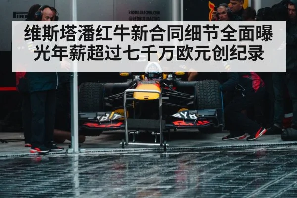 Red Bull racing team